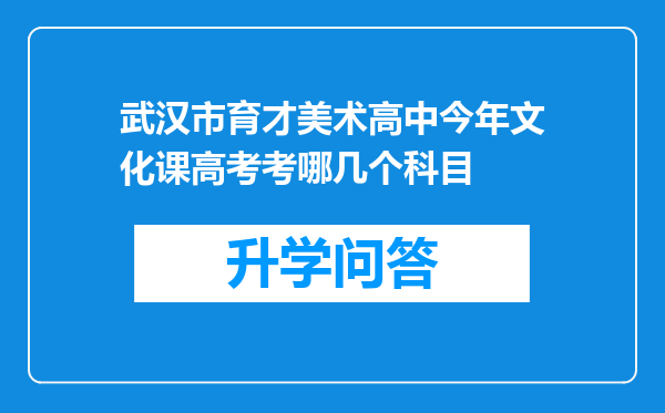 武汉市育才美术高中今年文化课高考考哪几个科目