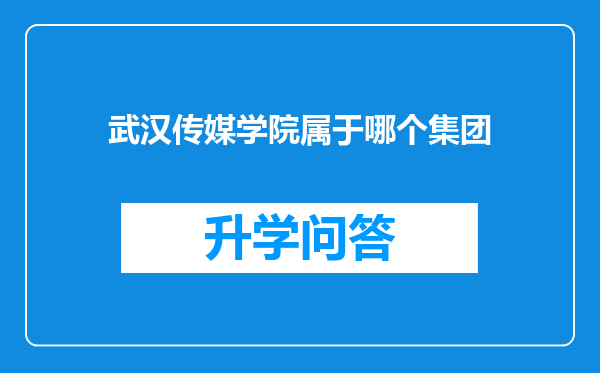 武汉传媒学院属于哪个集团