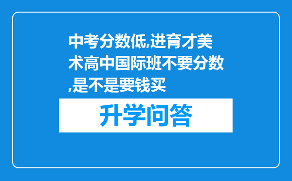 中考分数低,进育才美术高中国际班不要分数,是不是要钱买