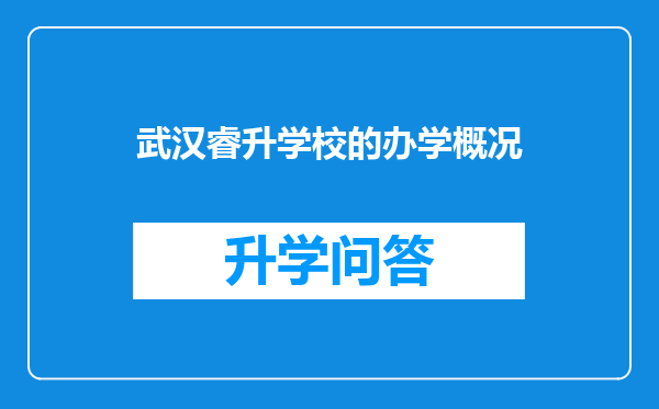 武汉睿升学校的办学概况