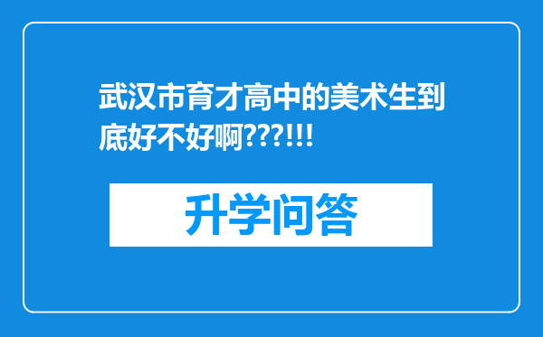 武汉市育才高中的美术生到底好不好啊???!!!