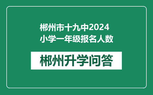 郴州市十九中2024小学一年级报名人数