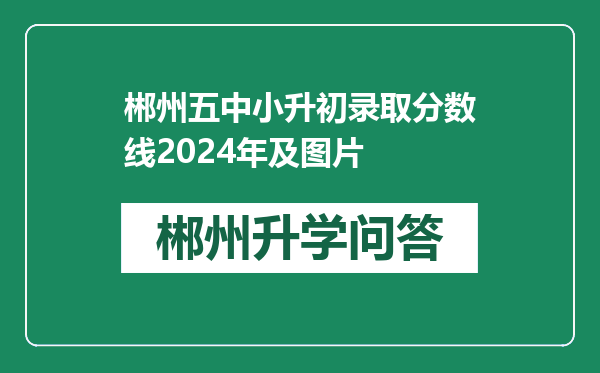 郴州五中小升初录取分数线2024年及图片