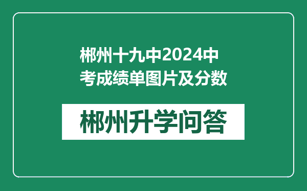 郴州十九中2024中考成绩单图片及分数