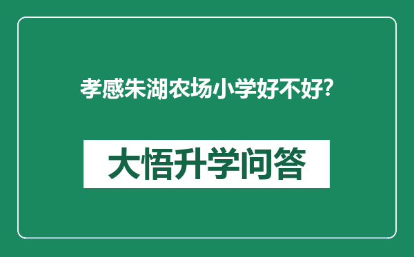 孝感朱湖农场小学好不好？