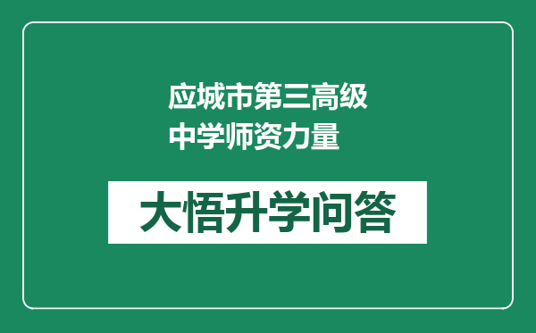 应城市第三高级中学师资力量