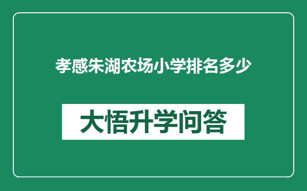 孝感朱湖农场小学排名多少