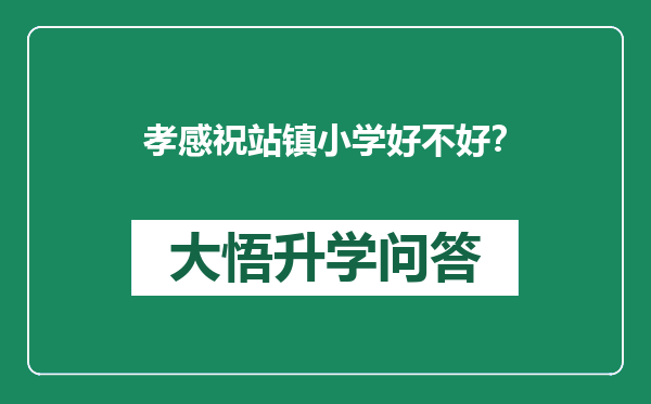 孝感祝站镇小学好不好？