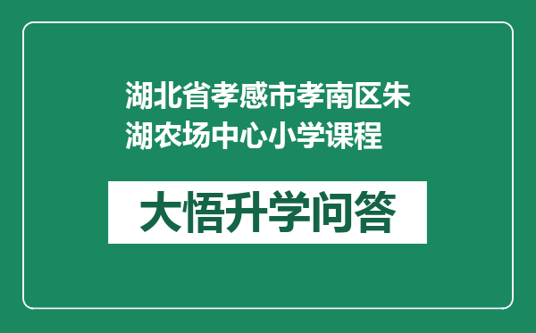 湖北省孝感市孝南区朱湖农场中心小学课程