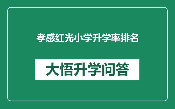 孝感红光小学升学率排名