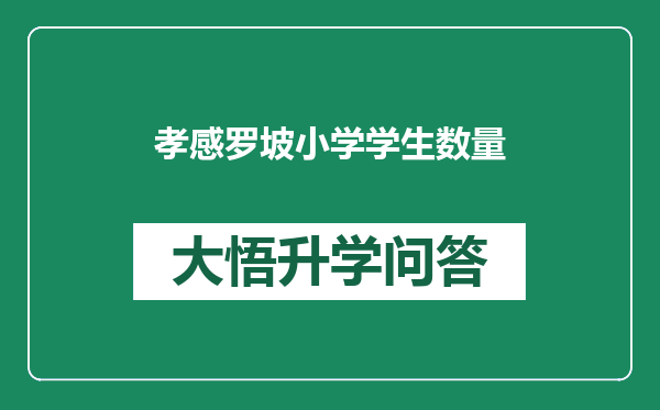 孝感罗坡小学学生数量