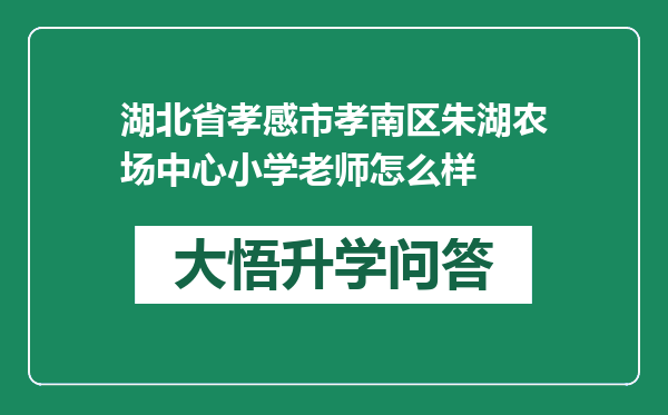 湖北省孝感市孝南区朱湖农场中心小学老师怎么样