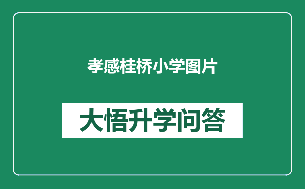 孝感桂桥小学图片