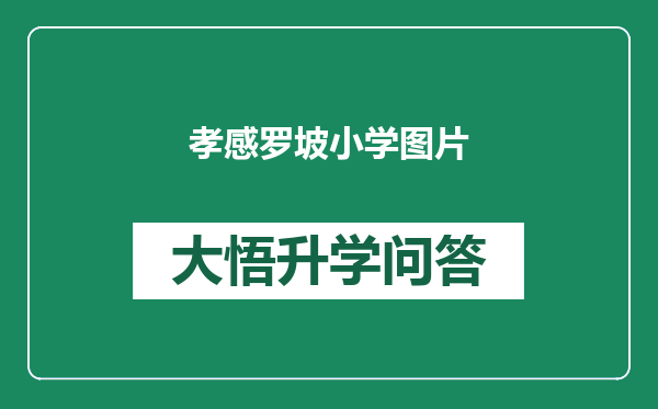 孝感罗坡小学图片