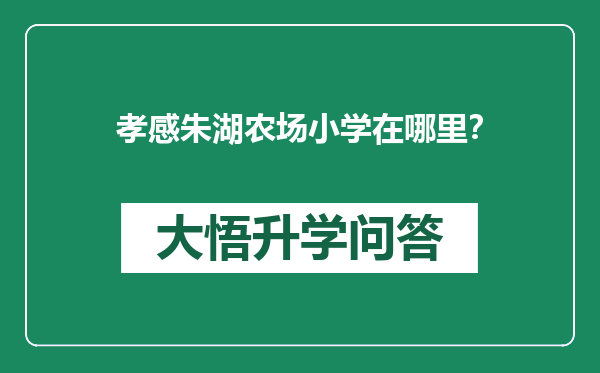 孝感朱湖农场小学在哪里？