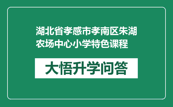 湖北省孝感市孝南区朱湖农场中心小学特色课程