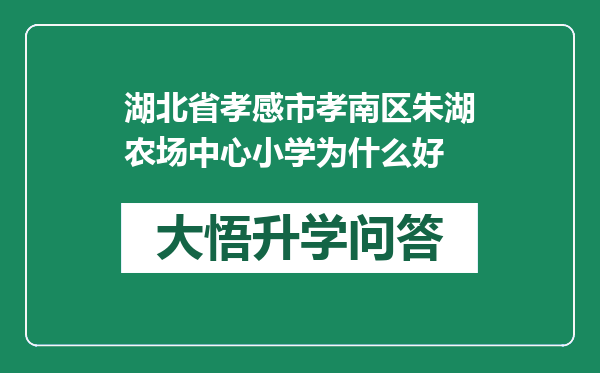 湖北省孝感市孝南区朱湖农场中心小学为什么好