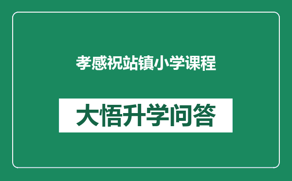 孝感祝站镇小学课程