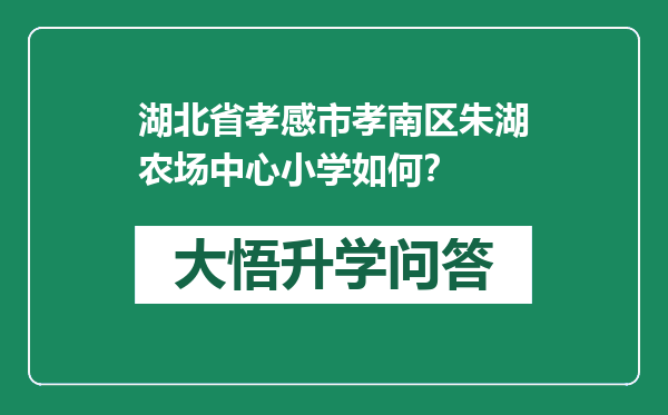 湖北省孝感市孝南区朱湖农场中心小学如何？