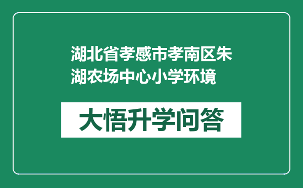 湖北省孝感市孝南区朱湖农场中心小学环境