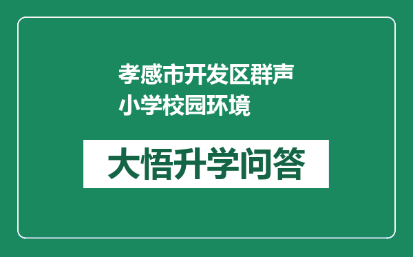 孝感市开发区群声小学校园环境