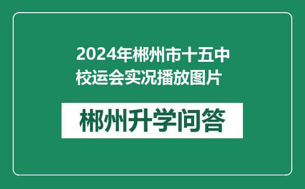 2024年郴州市十五中校运会实况播放图片