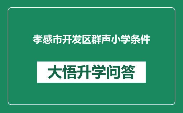 孝感市开发区群声小学条件