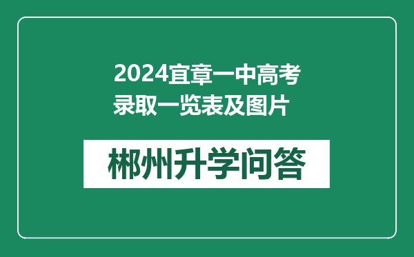 2024宜章一中高考录取一览表及图片