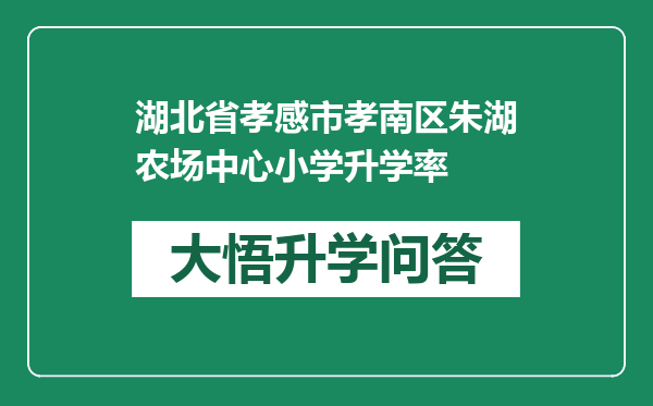 湖北省孝感市孝南区朱湖农场中心小学升学率