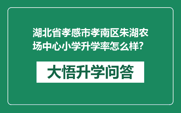 湖北省孝感市孝南区朱湖农场中心小学升学率怎么样？