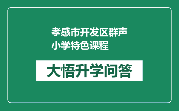 孝感市开发区群声小学特色课程