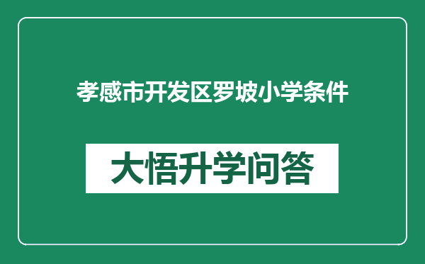 孝感市开发区罗坡小学条件