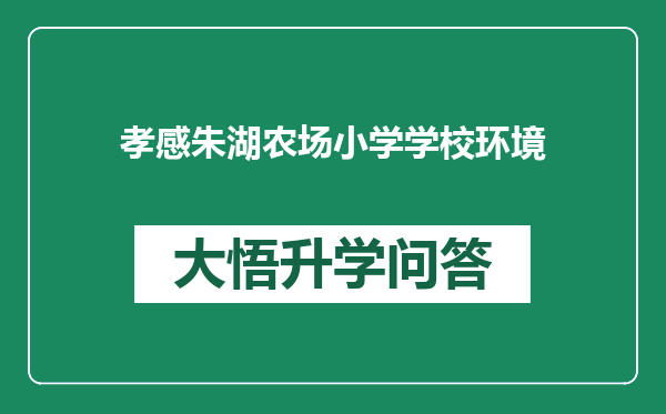 孝感朱湖农场小学学校环境