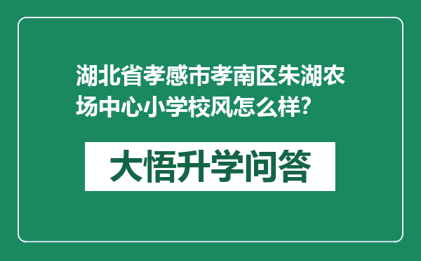 湖北省孝感市孝南区朱湖农场中心小学校风怎么样？