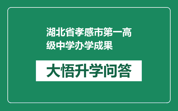 湖北省孝感市第一高级中学办学成果