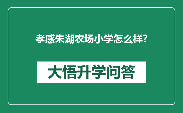 孝感朱湖农场小学怎么样？