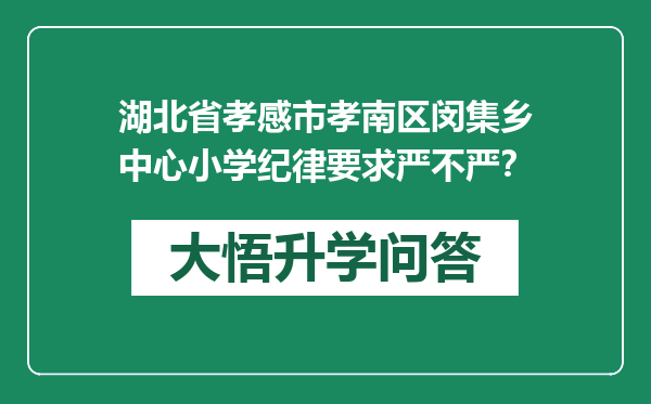 湖北省孝感市孝南区闵集乡中心小学纪律要求严不严？