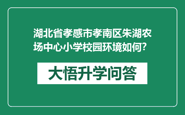 湖北省孝感市孝南区朱湖农场中心小学校园环境如何？