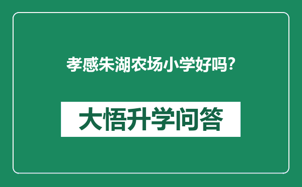 孝感朱湖农场小学好吗？