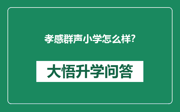 孝感群声小学怎么样？