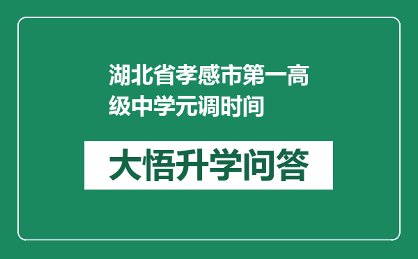 湖北省孝感市第一高级中学元调时间