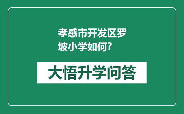 孝感市开发区罗坡小学如何？