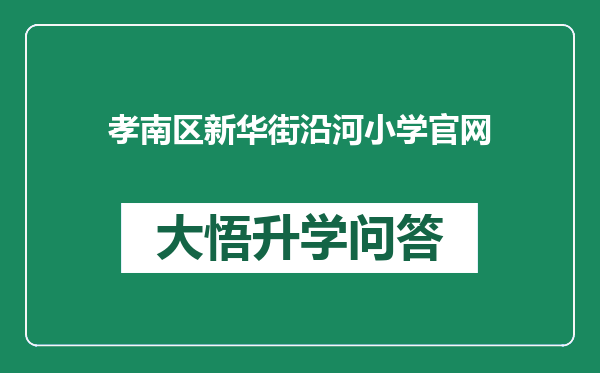 孝南区新华街沿河小学官网