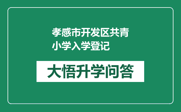 孝感市开发区共青小学入学登记