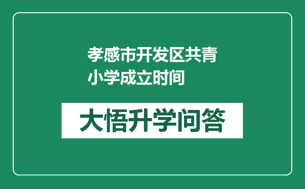 孝感市开发区共青小学成立时间