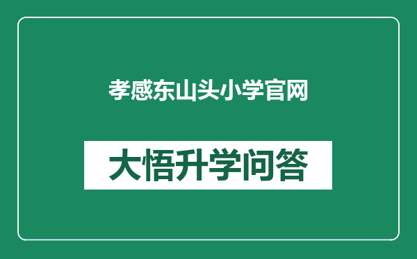 孝感东山头小学官网