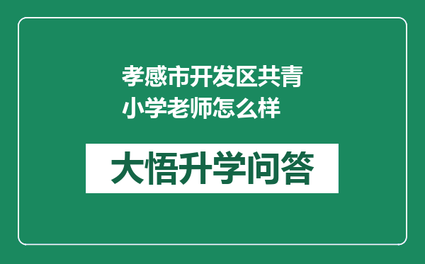 孝感市开发区共青小学老师怎么样