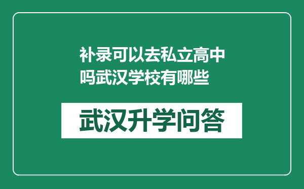 补录可以去私立高中吗武汉学校有哪些