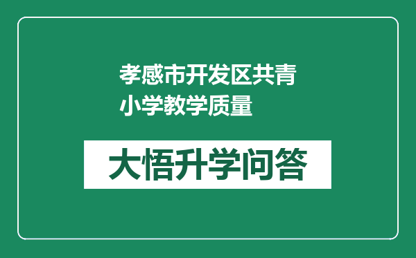 孝感市开发区共青小学教学质量