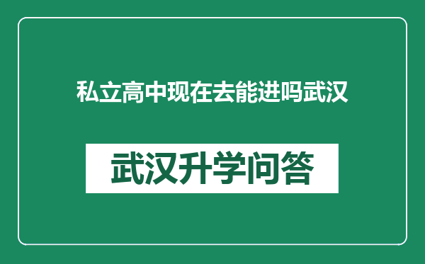 私立高中现在去能进吗武汉